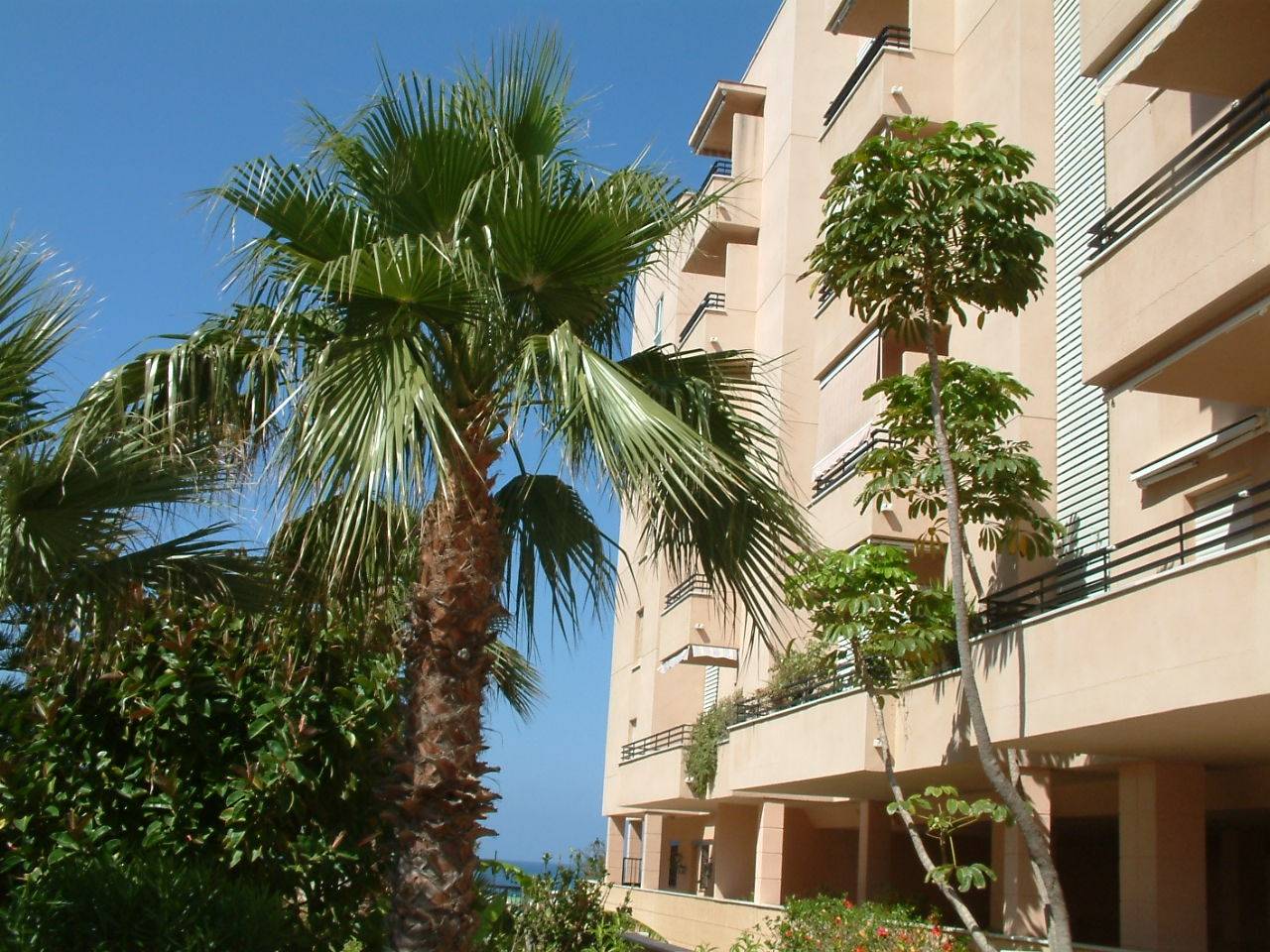 Vivienda en alquiler en la playa de salobreña